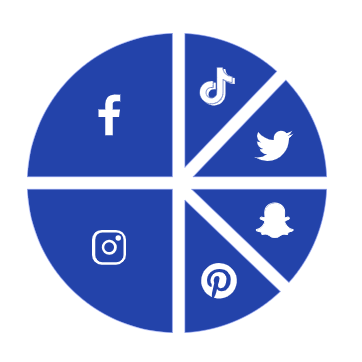 Social Media Channels Pie